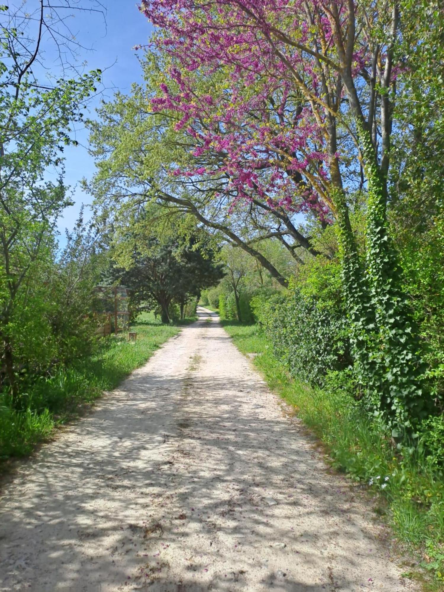 T2 Au Naturel Aix-En-Provence Buitenkant foto